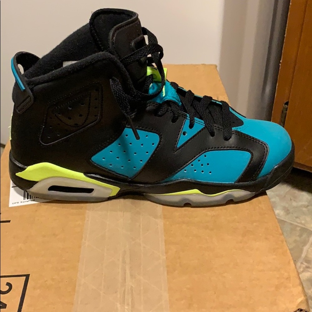 Jordan 6s